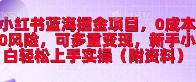 小红书蓝海掘金项目，0成本0风险，可多重变现，新手小白轻松上手实操（附资料）