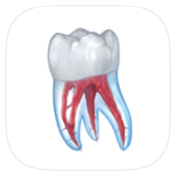 安卓牙科3D图解 v2.0.86 解锁高级版