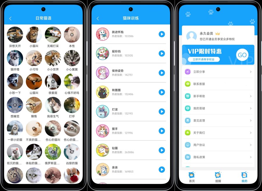 人猫交流神器3.5.7实现人猫语言互译解锁VIP功能